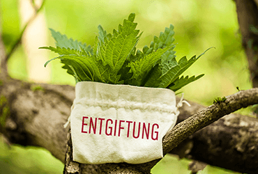 Schwermetallausleitung